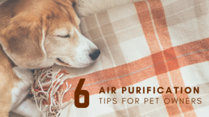 air purification