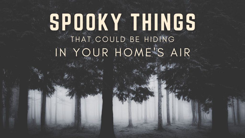 hiding in the air in your home