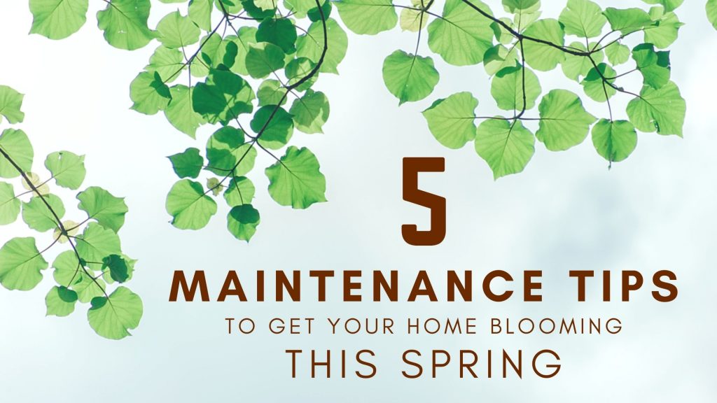spring maintenance tips