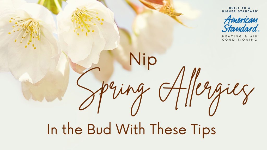 Nip Spring Allergies In The Bud With These Tips
