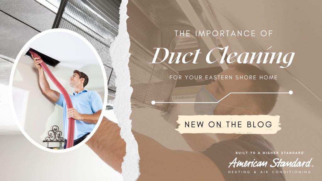The Importance of Duct Cleaning for Your Eastern Shore Home