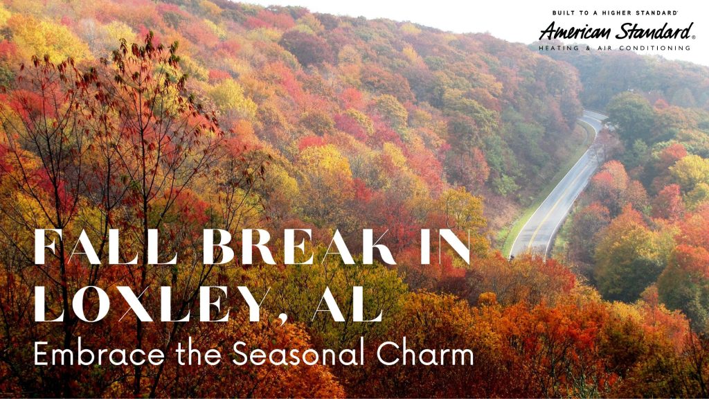 Fall Break in Loxley, Alabama: Embrace the Seasonal Charm