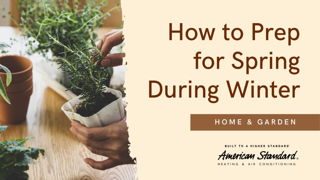 prep for spring during winter