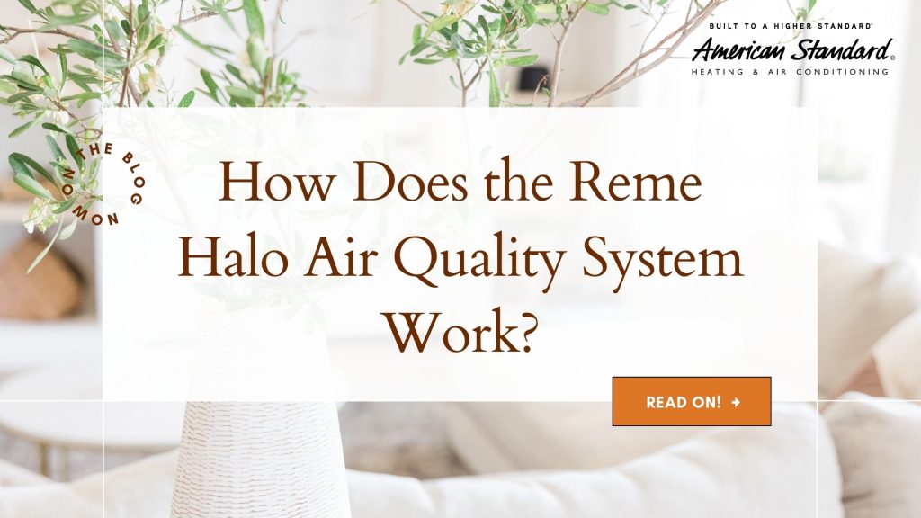 How Does the Reme Halo Air Quality System Work?