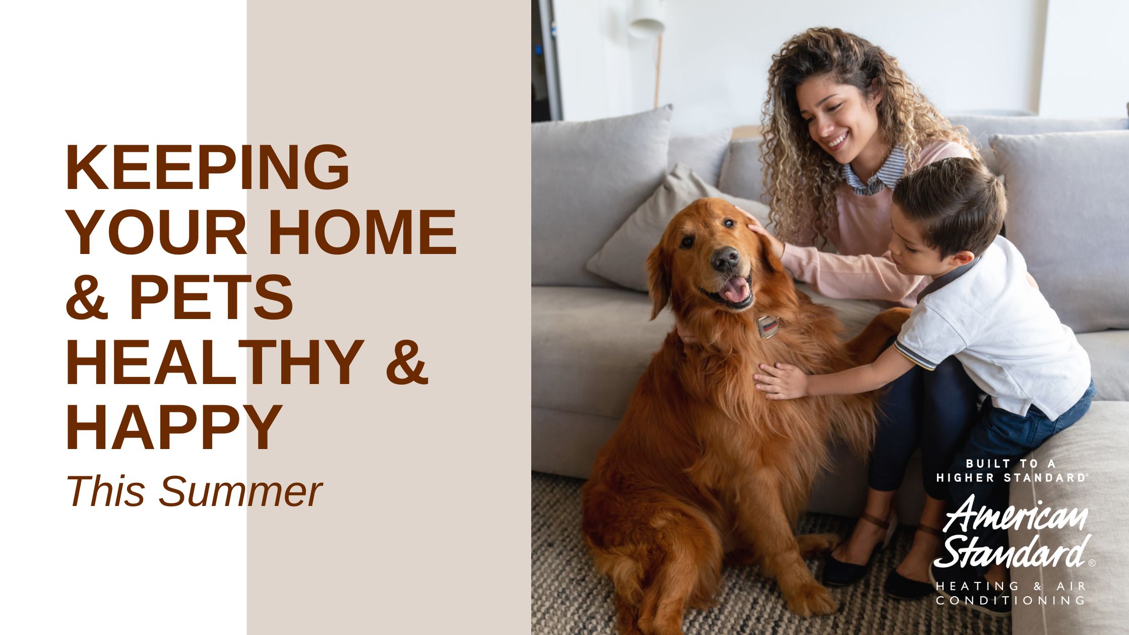 Keeping Your Home & Pets Healthy & Happy This Summer