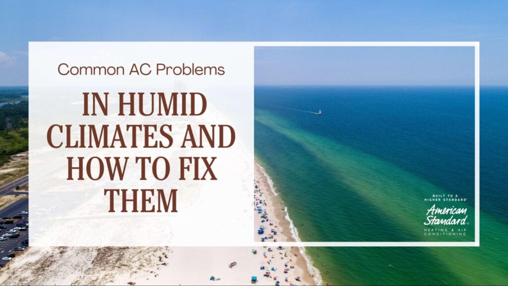 Common AC Problems in Humid Climates and How to Fix Them