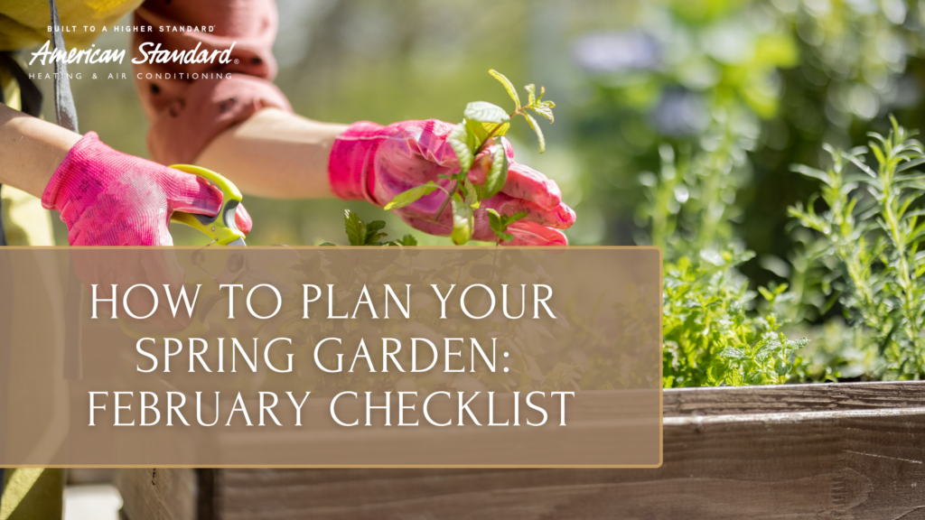 How to Plan Your Spring Garden: February Checklist for Success