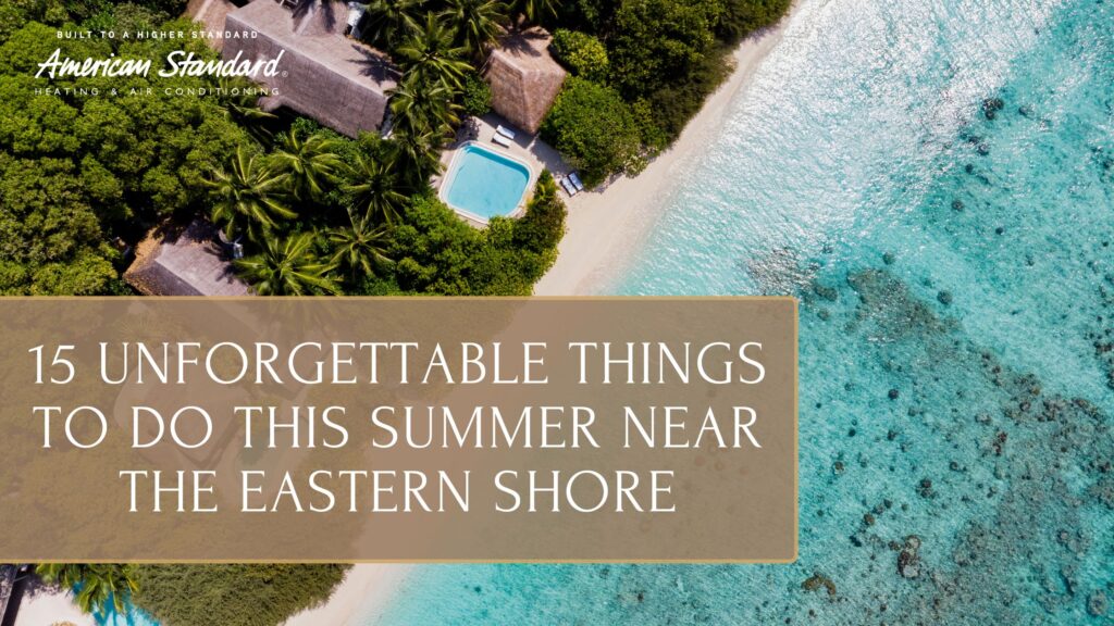 15 Unforgettable Things to Do This Summer Near the Eastern Shore