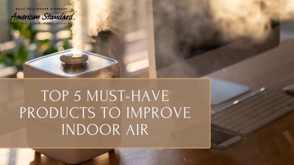 Top 5 Must-Have Products to Improve Indoor Air