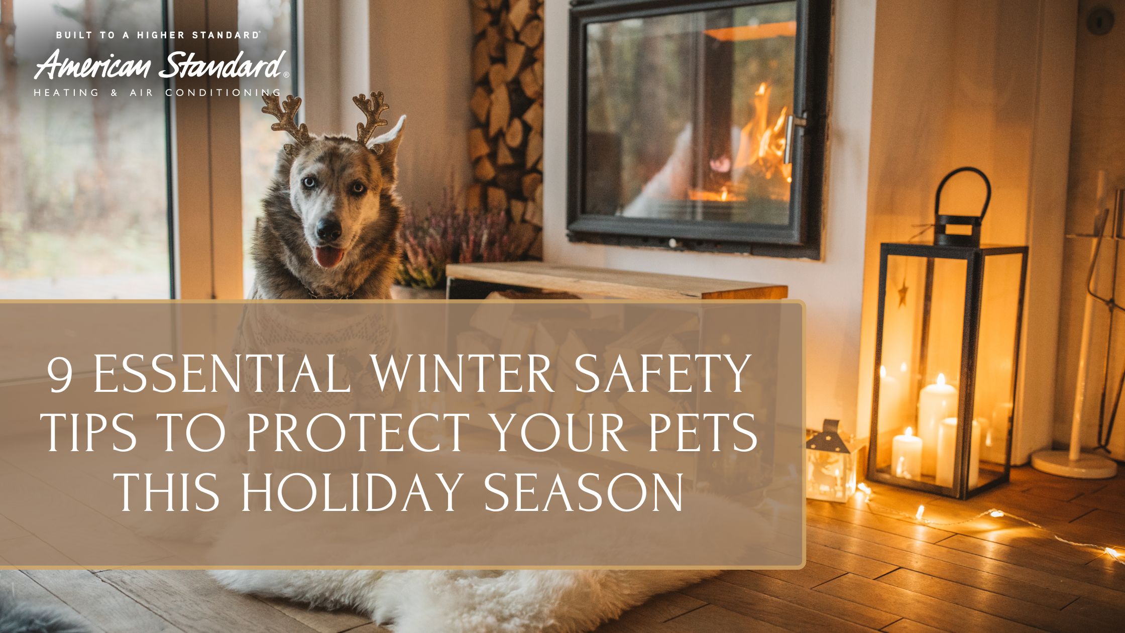 9 Essential Winter Safety Tips to Protect Your Pets This Holiday Season